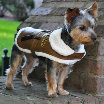NEW Co-Pilot Brown Bomber Dog Jacket Coat Harness Leash Set  Size  X-Small - Image 1 of 3