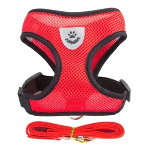 Mesh Padded Soft Puppy Pet Dog Harness Breathable Comfortable Many Colors S M L - Picture 1 of 17