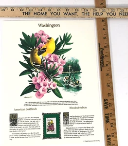 Washington Commemorative Mint-Stamp Postal Commemorative Society Collectable. - Picture 1 of 1