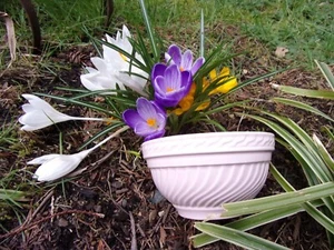 pale pink tiny vintage kitchen mixing bowl! Springtime~Easter color! 5 3/4" dia~ - Picture 1 of 12