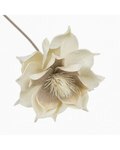 RAMO MAGNOLIA - H.77 CM - BEIGE - Foto 1 di 1