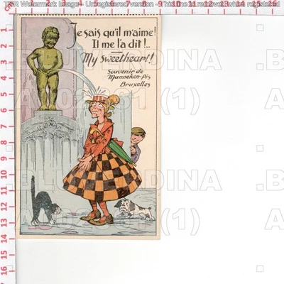 A2361 BELGIO BRUXELLES MANNEKEN PIS UMORISMO HUMOR ’40 DONNA OMBRELLO CANE GATTO - Immagine 1 di 2