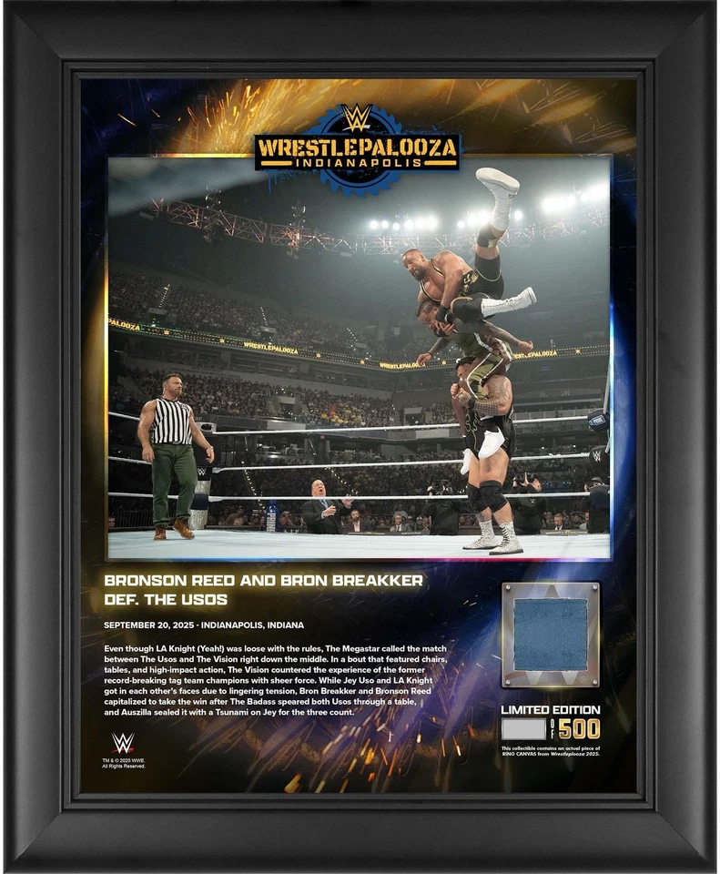 Breakker & Reed Vision Framed 13x16 2025 Wrestlepalooza Collage w/Canvas LE 500 - Image 1 of 1