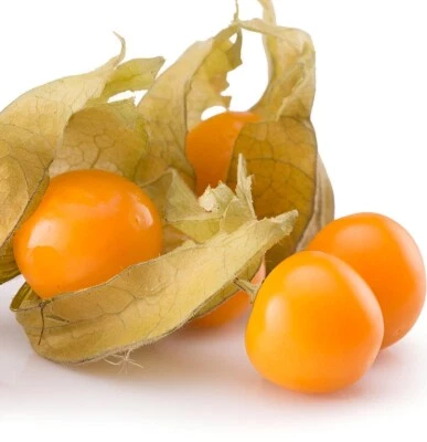 100 CAPE GOOSEBERRY SEEDS RARE FRUIT SPRING GROUND CHERRY HEIRLOOM SWEET USA - Image 1 of 2