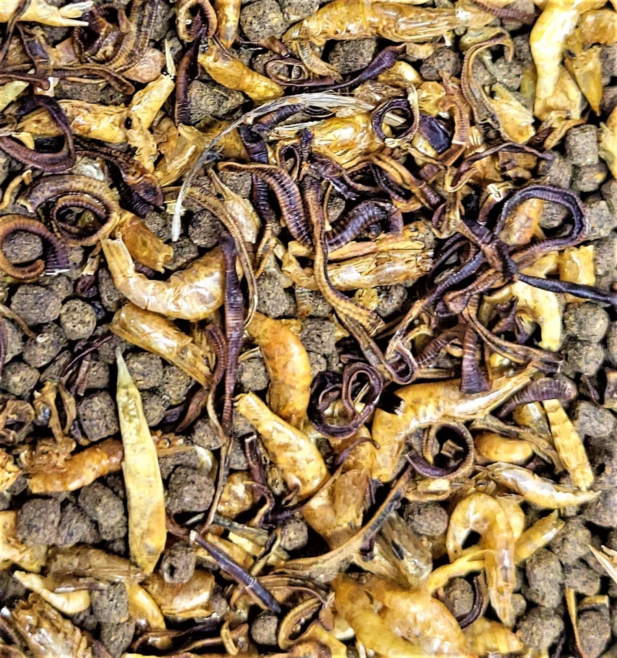 HAPPY ROCK PETS CARNIVOROUS LARGE PLUS FISH DIET