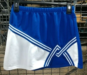 Real Authentic Blue White Florida Gators Cheerleading Cheer Teamwork Uniform - Picture 1 of 12