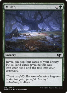 x1 Mulch VOW MTG 210/277 COMMON M/NM 1x - Picture 1 of 1