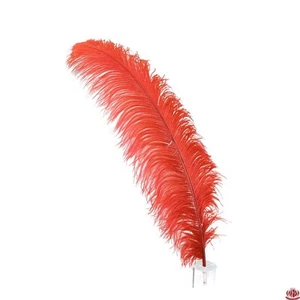1-Pluma de avestruz rojo brillante para centros de mesa de boda/fiesta decoraciones - 23-28" - Imagen 1 de 2