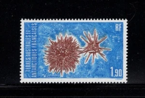 FSAT TAAF Antarctic Explorer 1985 equinodermos 120 montado sin montar o nunca montado - Imagen 1 de 1