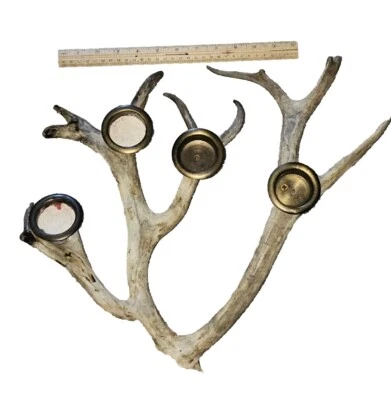 Candelabro de cuerno de ciervo real 4 velas soporte votivo candelabro centro de mesa. Cobertizo Foto 1 de 4