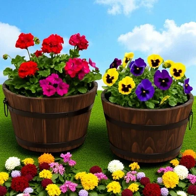 Pack of 2 Wooden Barrel Flower Pots with Vibrant Geranium & Pansy Flowers - Image 1 of 4
