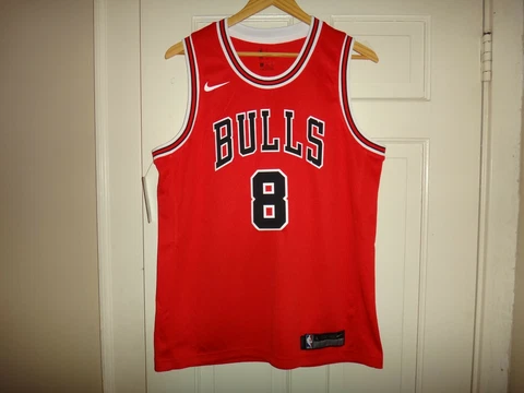 Youth L (14/16) Nike Zach LaVine Chicago Bulls Icon Edition Red Swingman Jersey Cover