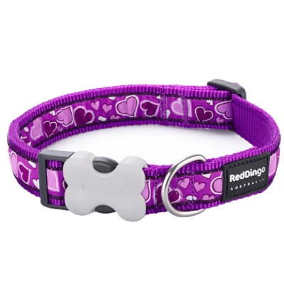 Red Dingo Collar or Lead - Breezy Love Purple Hearts Design