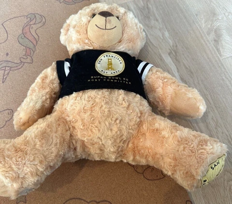 Stuffed Teddy American Football Superbowl 50 L San Francisco Mascot Goldie Bear Cover