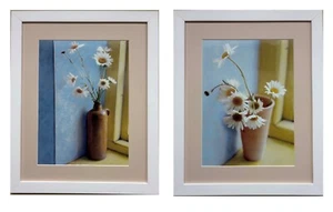 Sarah Jarrett "Ojo de Buey Margaritas y Margaritas" PAR de Arte Enmarcado Floral NUEVO - Imagen 1 de 7