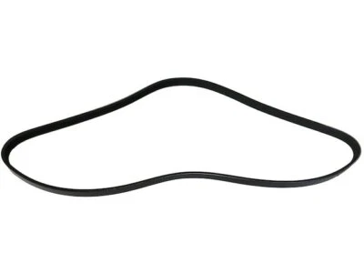 Cinturón multi costilla para Toyota Tundra 2000-2004 41566 PSBT 2001 2002 2003 3,4 L V6 gasolina Foto 1 de 2