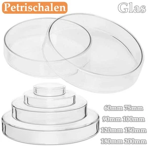 Glas Petrischale Schale + Deckel Hoher Borosilikat Petrischalen 60mm 75mm~200mm - Picture 1 of 13