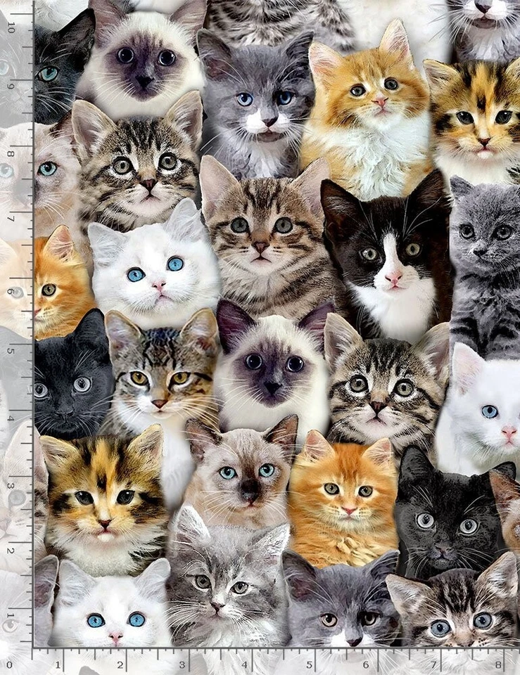 Animal Fabric - Kitten Cat Faces Packed  - Timeless Treasures YARD - Image 1 of 1