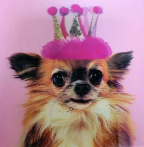 Carino Chihuahua Cane in Rosa Cappello Festa Lusso Lenticolare Effetto 3D Biglietto Compleanno - Foto 1 di 1