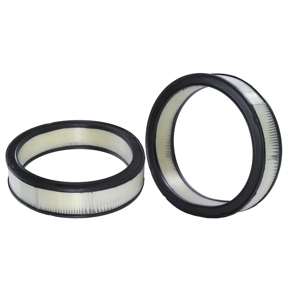 Filtro de aire 42095 WIX para Chevy Olds Suburban Pontiac GTO Catalina Acadian GMC II Foto 1 de 1