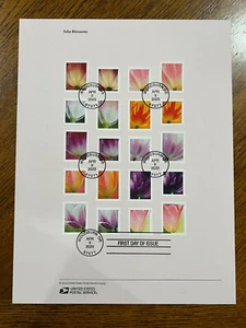 American Commemorative Cancelations #2315, Forever '23- Tulip Blossom (#5767-76) - Picture 1 of 4