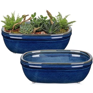 Set of 2 Oval Ceramic Bonsai Planter Pots (9.3” x 6.3”) – Glazed Succulent & ... - Picture 1 of 5