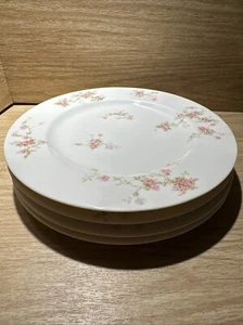 Set of 4 Theodore Haviland Limoges France Porcelain Salad Plates Schleiger 7.5” - Picture 1 of 11