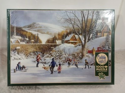 Rompecabezas Cobble Hill 1000 piezas hockey sobre lago congelado 80059 deportes de invierno  Foto 1 de 4