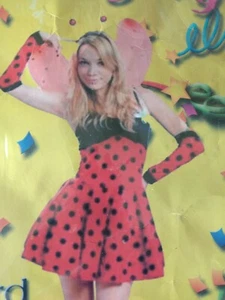 ADULT LADY BIRD COSTUME (Large) - Picture 1 of 5