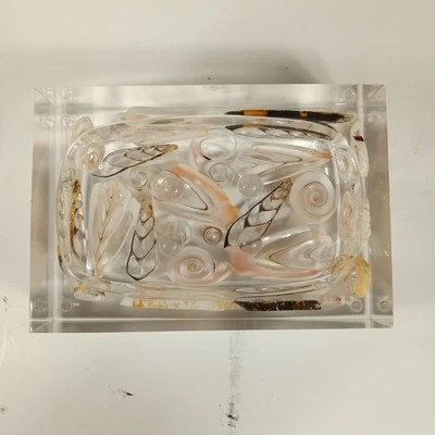 Jabonera acrílica transparente Lucite soporte náutico rebanadas marinas Foto 1 de 4