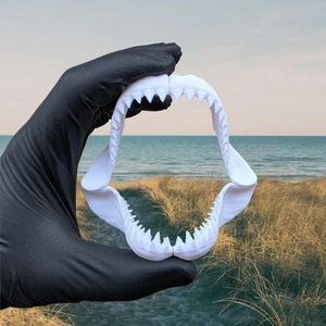 Baby Shark Jaws 10cm 3d Printed Great White Replica Mini Megalodon Ornament - Picture 1 of 4