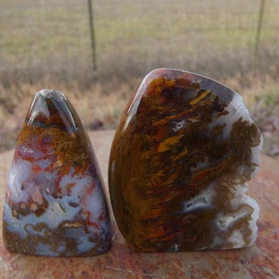 RimRock: Dos Aves del Paraíso Pulidas Raras Pluma Ágata Áspera Pequeñas Stand-Ups Foto 1 de 4