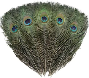 12 PCS Real Natural Peacock Eye Feathers 10-12 inch for DIY Craft, Wedding and H - Picture 1 of 4