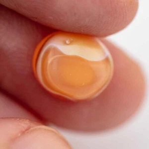 Natural Oval Shape Egg Mexican Fire Opal - Picture 1 of 2