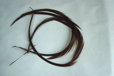 PECHETRUITE 4 x Biot quills d'oie MARRON montage mouche mosca brown feather fly goose