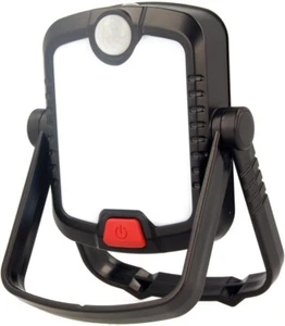 Walton Flooflight with Motion Detection Feature & Spotlight, Battery Operated - Picture 1 of 2