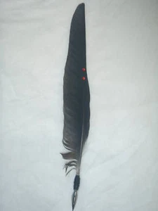 CROW FLIGHT FEATHER QUILL PEN WITH JEWELS.MAGIC/SPELLS - Picture 1 of 1