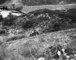 1949 BURBANK Hillclimb Race - 4x5 Motorcycle Negative - Picture 1 of 1