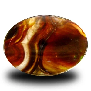 Ágata de fuego multicolor sin calefacción corte elegante revelador de 5,67 quilates (15 x 11 mm) - Imagen 1 de 1