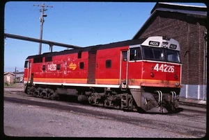 Original Schienendia - NSWSRA 44226 New Castle NSW Australien 12-1993 - Bild 1 von 1