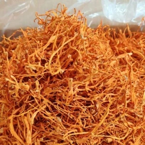 Organic Premium Super Mushroom Cordyceps Militaris Fungus Chong Cao Hua 500g~ - Picture 1 of 1