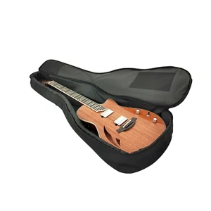 The Swiss Army Knife of Hybird Electric-Acoustic Guitars MULTISPECIALIST2 - Picture 1 of 18