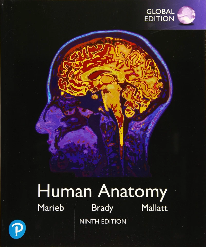 Human Anatomy, Global Edition - Image 1 of 1