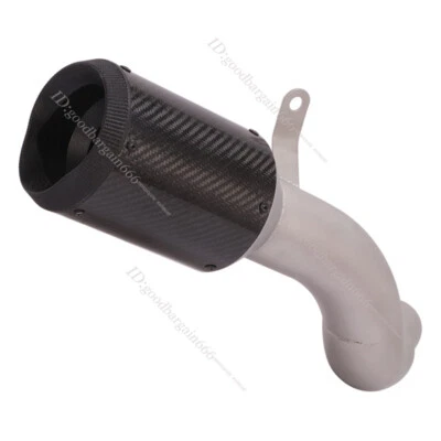 Silenciador de carbono con puntas de escape de carbono para Aprilia RSV4 RR RF 2017-2020 Foto 1 de 4