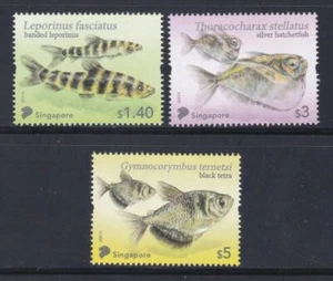 Singapore - Local Fish, 2021 - Picture 1 of 1