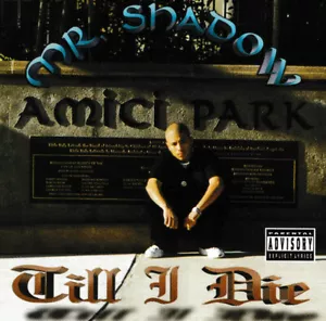 MR. SHADOW TILL I DIE GANGSTER SOUTHSIDE VMF, LIL ROB, LIL ONE, ODM RARE CD - Imagen 1 de 1