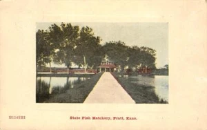 State Fish Hatchery, Pratt, Kansas 1909 Antique Rare Vintage Postcard - Picture 1 of 2