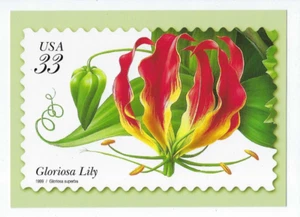 Gloriosa Lilie Blume Postkarte USPS 1999 Oversized - Bild 1 von 2