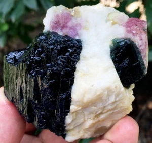 229,4g WOW! Natürlicher mehrfarbiger blau/roter Turmalin Kristall raues Exemplar ic8900 - Bild 1 von 12