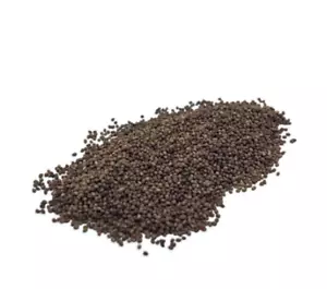 Tobacco seeds. - Picture 1 of 3